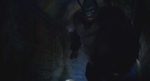 Grodd