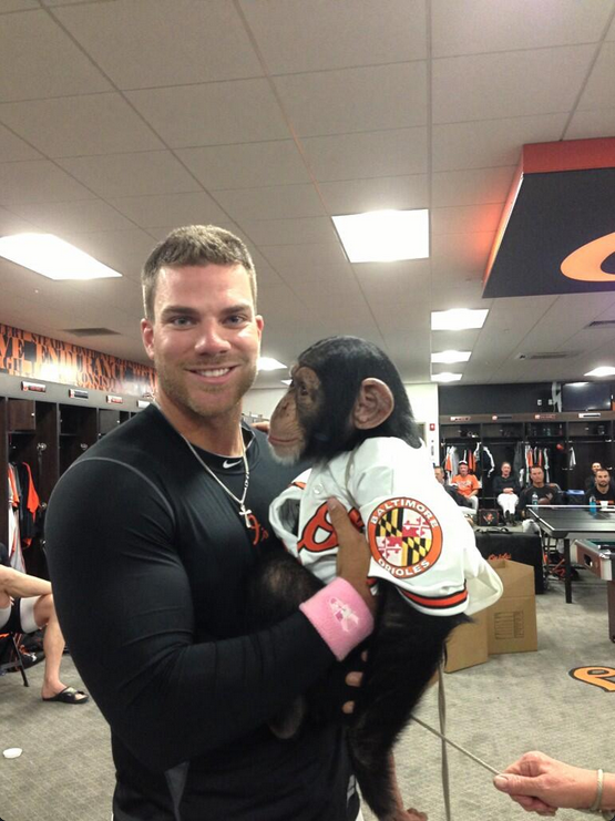 Chris Davis Chimp